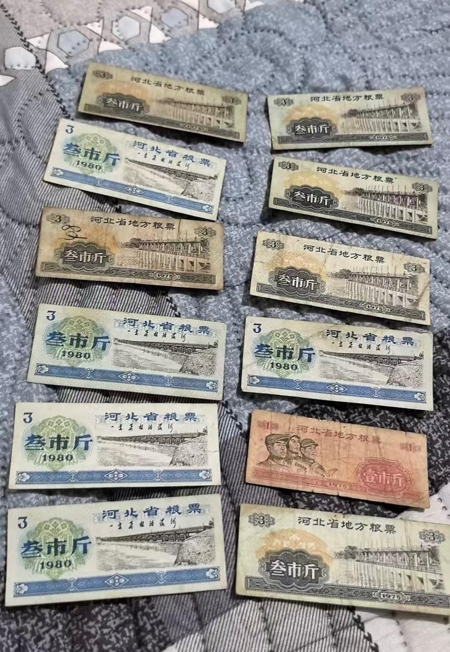 河北粮票