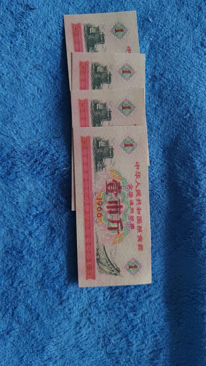 粮票和布票