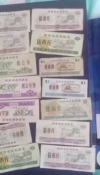 《陕西省通用粮票及流通票证组合》