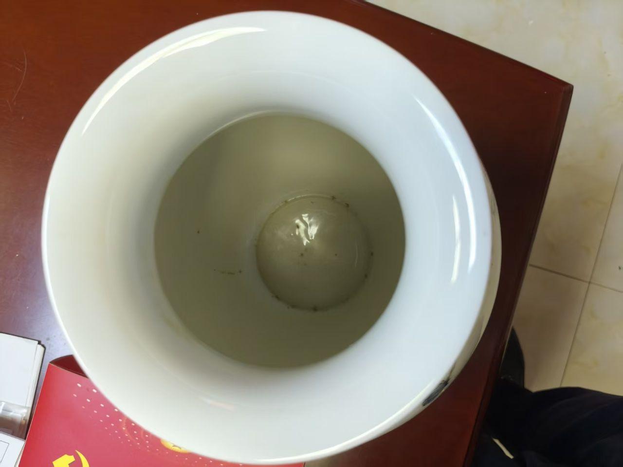 粉彩牡丹花瓶（张松茂）